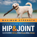 Vetiq Masside Strength Hip Joint Supplément pour les chiens